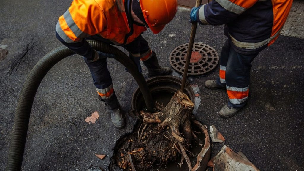 tree-roots-in-sewer-lines