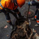 Can Tree Roots Damage Your Sewer Line? Everything Virginia Homeowners Should Know tree-roots-in-sewer-lines