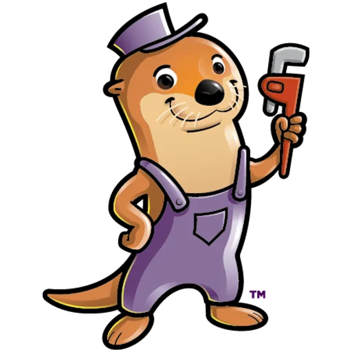 Why you should replace quest (polybutylene) piping Mascot