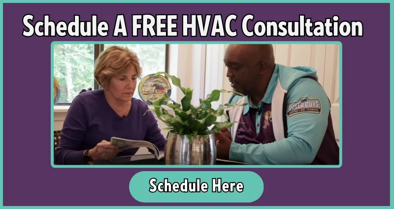 free HVAC consultation from The Otter Guys